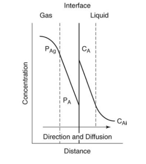 Interphase Mass Transfer